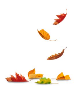 fall-leaves-mi