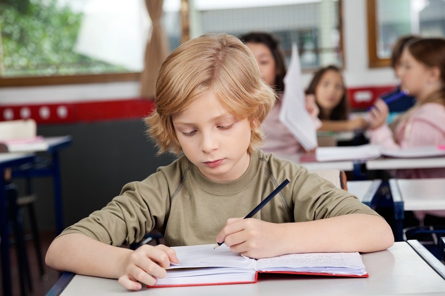 boy studying in school