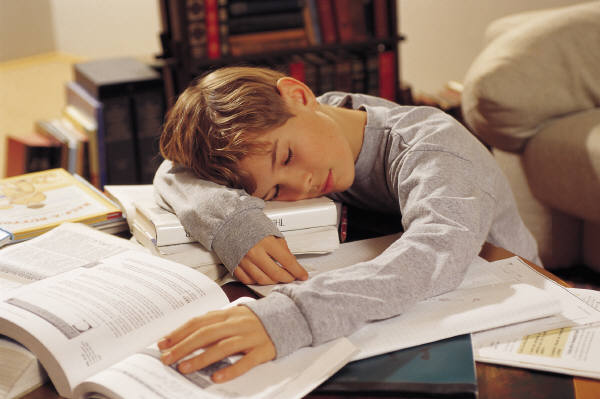 boy sleeping instead of doing homework